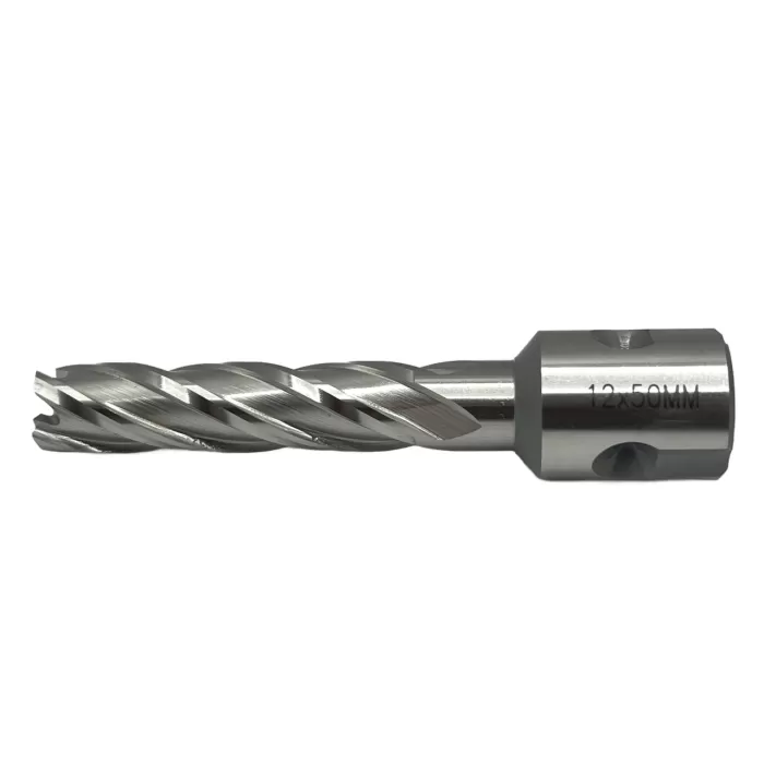 Сверло корончатое 12х50 мм, HSS, Universal / Weldon 19 TORNERI Т023624