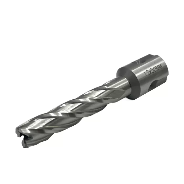 Сверло корончатое 12х50 мм, HSS, Universal / Weldon 19 TORNERI Т023624